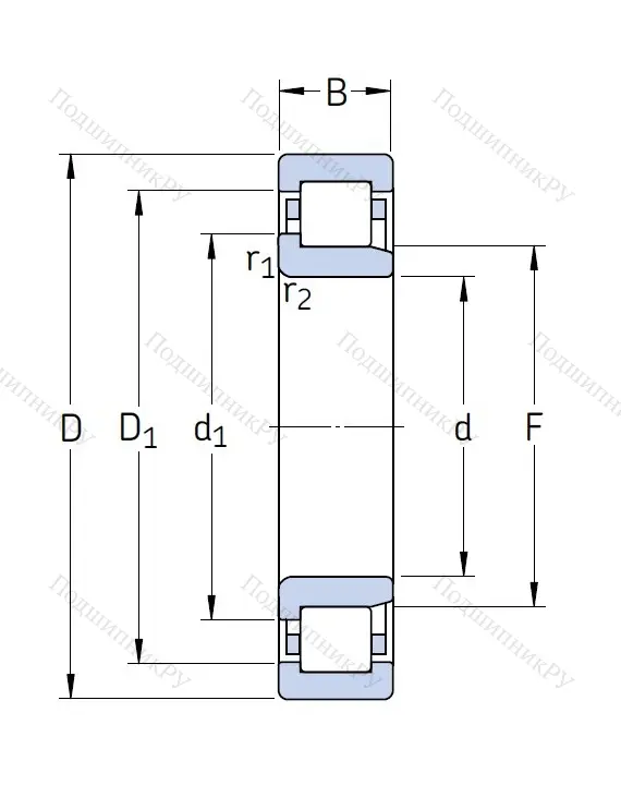 Роликовый цилиндрический подшипник NJ 2206 ECP от производителя  SKF
